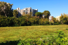 roma-pietralata-il-colosseo-di-pietralata-visto-da-via-delle-messi-d-oro-foto-attuale
